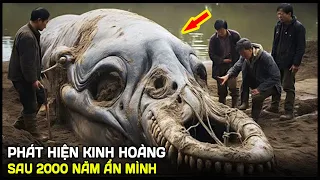 🔥 11 Bí Ẩn Kinh Hoàng Và Khó Tin Trong Rừng Rậm Amazon Được Khai Phá Khiến Thế Giới Sốc nặng