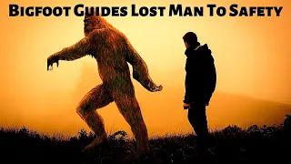 Bigfoot Mysterious Guides Lost Guest To Safety. True SAROY Story | (Strange But True Stories!)