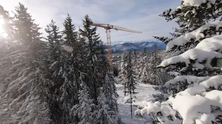 FPV Cinematic Cinewhoop in the forest