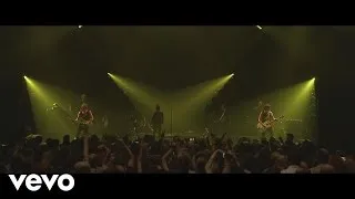 La fille du coupeur de joints (VIXI Tour XVII au Palais des Sports 2015)