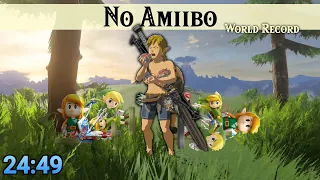 BotW Any% No Amiibo 24:49 [Former WR]