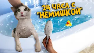 24 часа с котом «Немишкой» из прошлого выпуска / SANI vlog