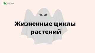 Жизненные циклы растений. Подготовка к ЕГЭ по биологии.