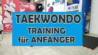 Taekwondo Training für Anfänger