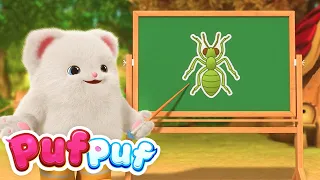 Cântecul insectelor 🦗 Cântece Educative pentru Copii Mici | Cântece Puf Puf