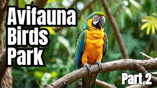 Discover Hidden Gems in Avifauna Vogelpark | Netherlands | Part 2 in Tamil