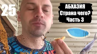 Абхазия Автостопом. Горячие источники. Сухум.