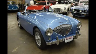 1955 Austin Healey 100-4 BN2 Roadster - Road Test - Autosport Designs