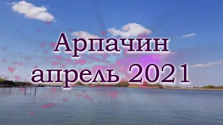 Отдых на Дону Арпачин апрель 2021. Выпуск №779