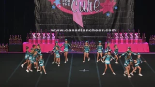 Cheer Sport  Starry Sharks  Small Junior AA 2