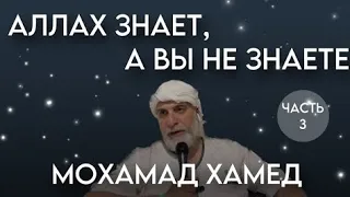 Мохамед Хамед - Аллах знает, а вы не знаете. Часть 3