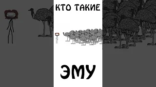 "Кто такие Эму?" #эму #страус #сэмонелла #шортс #авызналиэто