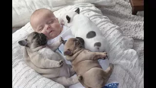 Cute Dogs Babysitting Dog And Baby Sleeping Together Compilation 2017