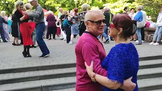 В весеннем лесу........20.05.23 Гомель парк Луначарского 🥰