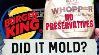 Whopper Update - Did it mold?