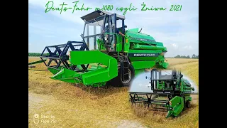 🌾Żniwa 2021 na mazowszu 🌾 OWIES 🌾 DEUTZ-FAHR m1080 & CLAAS & U-R-S-U-S C-360