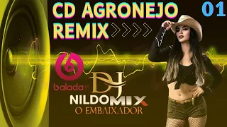 CD AGRONEJO REMIX DJ NILDO MIX O EMBAIXADOR #01