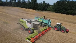 Búza aratás! 2022 Wheat harvest! 2x CLAAS LEXION 760