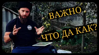 Важно! Что да Как? Школа Корогод фланкировка шашка фехтование