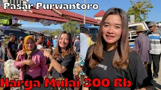 DEK YAYA , KIRA-KIRA HARGA KAMBING DI PASAR PURWANTORO ???