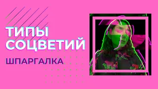 Соцветия — шпаргалка. ЦТ, ЕГЭ, ЗНО.