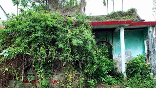 TERRIFYING 100year abandoned house bamboo texture revealed I cleanup weeds | SHOCK TRANSFORMATION