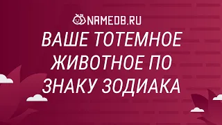 Ваше тотемное животное по знаку Зодиака