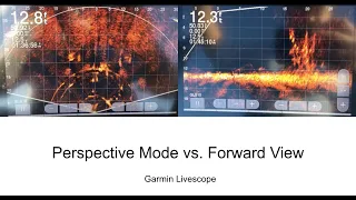 Livescope Perspective Mode Vs. Forward View (Episode 12)