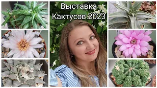 Выставка Греческого клуба Кактусистов🌵Май 2023                     #выставка #кактусы