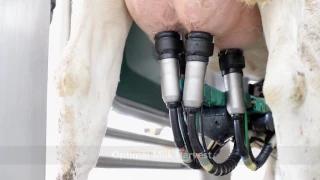 GEA Monobox - Automated Milking System