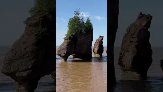 Hopewell Rocks high tide and low tide #canada #newbrunswick