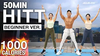 땀폭발! 흥폭발! 50분 전신 운동l 50MIN BEGINNER HIIT WORKOUT - No Repeat, No Equipment @shaketwins