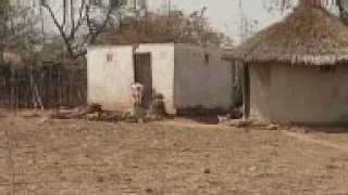 Drought hit Zimbabwe faces huge food shortages