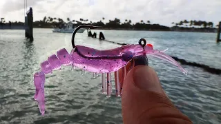 Slaying Snook... Tips and Tricks to Fishing With Artificial Shrimp!