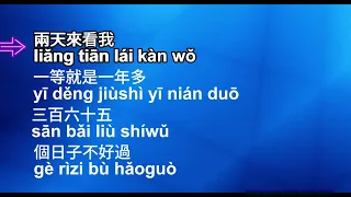 你怎么说(Nǐ zěnme shuō)-female karaoke