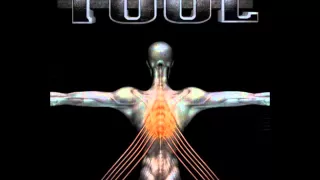 Tool - Maynard's Dick (Salival)