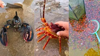 Catching Seafood 🐙🦀 Deep Sea Octopus (Catch Fish, Catch Shark, Sea Creatures) TikTok #3