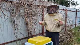 🔴 Продолжаем лечить варроатоз пчел в апреле 2024. Когда действия пластин закончилось 🔴