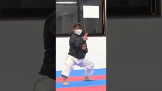 Ryuei-Ryu Kata ANAN Part 3