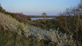 Цвіте терен. Українська народна пісня