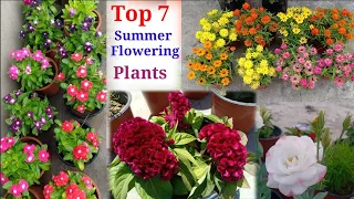 Summer /गर्मी में बीज से लगाए फूलों वाले पौधे || Seeds To Grow In Summer (Feb-March)