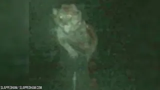 10 TERRIFYING Werewolves Caught On Camera!