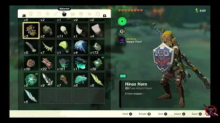 Duplicate Hylian Shield ~ Zelda: Tears of the Kingdom