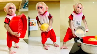 Super Monkey BiBi cooks his own favorite Special Dish!