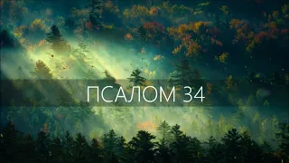 ПСАЛОМ 34 /Вступись, Господи, в тяжбу с тяжущимися со мною!