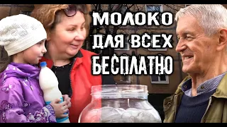 РЕАКЦИЯ ЛЮДЕЙ НА БЕСПЛАТНУЮ РАЗДАЧУ МОЛОКА.