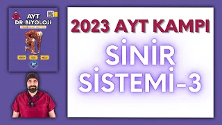 Sinir Sistemi-3.Bölüm AYT Biyoloji Kampı Konu Anlatımı/ 11.Sınıf 2024 Tayfa