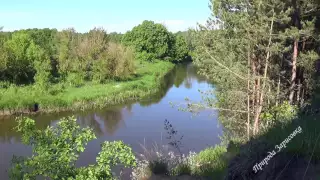 BEAUTIFUL RIVER with Nature Sounds and Birds Singing, Beautiful Nature in the Forest, for Relaxation