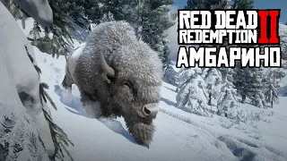 География Red Dead Redemption 2: АМБАРИНО