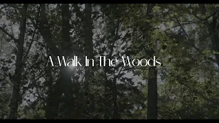 A Walk in the Woods - OFFICIAL FULL SHORT FILM - HORROR DRAMA